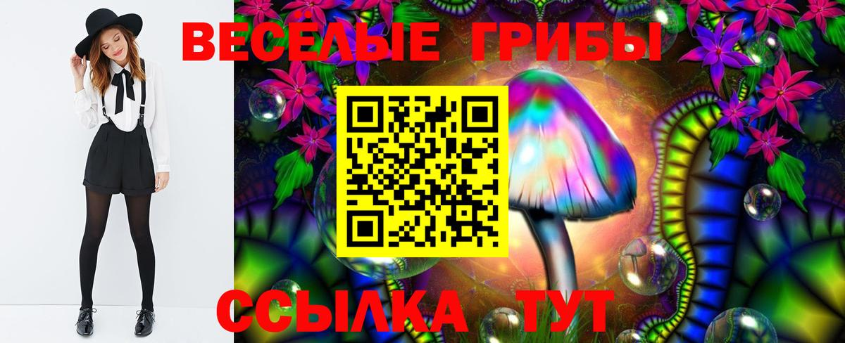 Псилоцибиновые грибы GOLDEN TEACHER Ялуторовск
